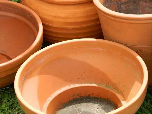 Terracotta pots can be used to make hiding spots for your cichlids.
