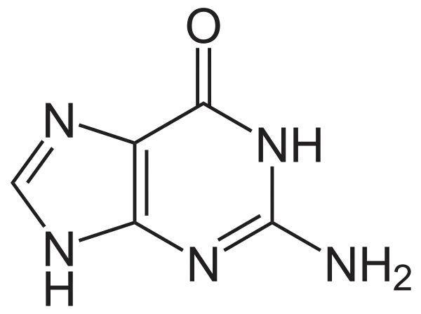 Guanine chemical compound structure.