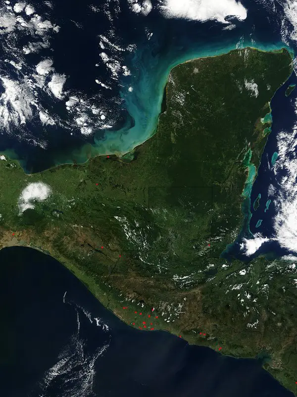 Sailfin mollies can be found as far south as the Yucatan Peninsula