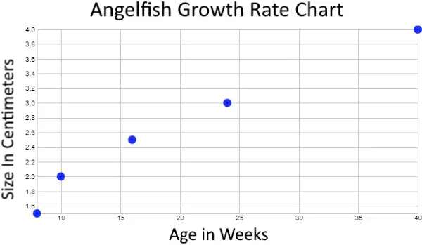 Angelfish growth rate graph chart