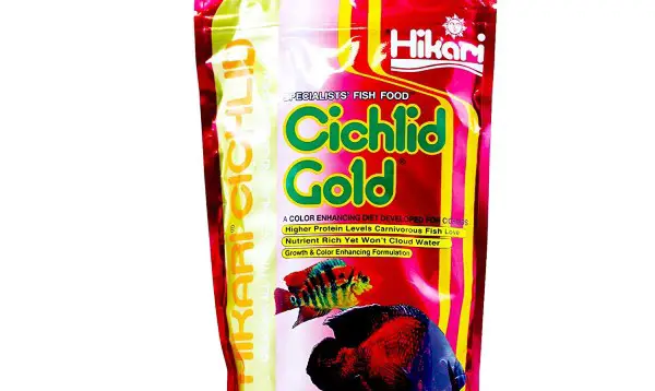 Hikari cichlid gold is a good staple pellet for most cichlids