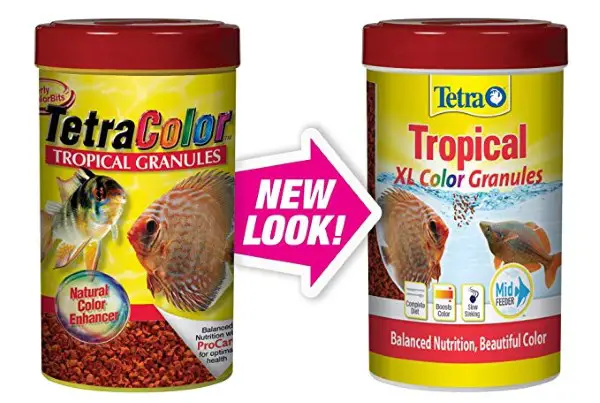 tetra color granules are a generally good food for your aquarium fish.  both your oscars and your angelfish will usually eat these.
