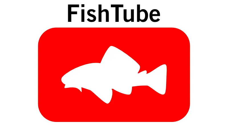 Best youtube aquarium channels