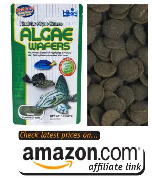 plecos and algae eaters love hikari algae wafers