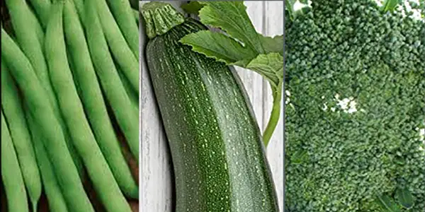 green beans zucchini broccoli