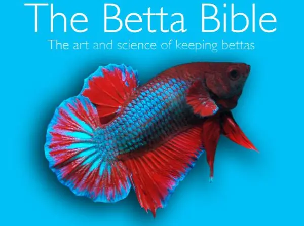 betta bible